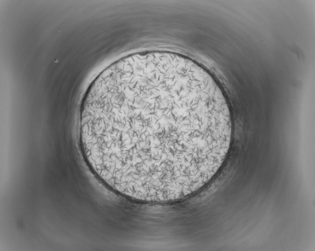 X0000111151520200907281122