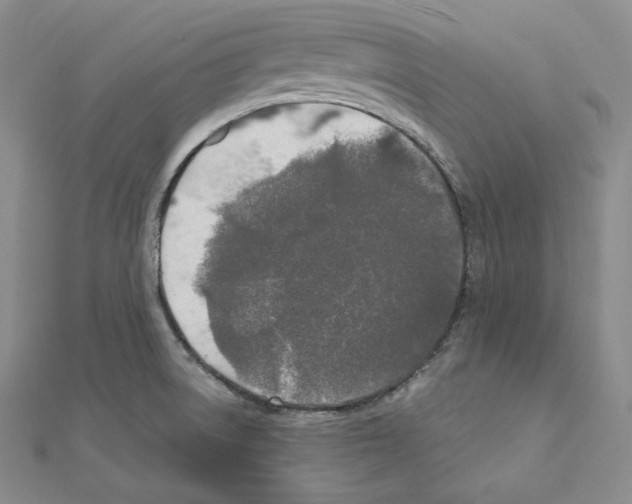 X0000111151522200907281122