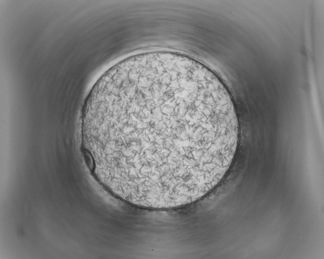 X0000111151524200907281122