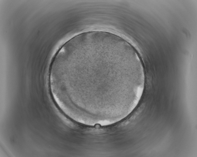 X0000111151525200907281122