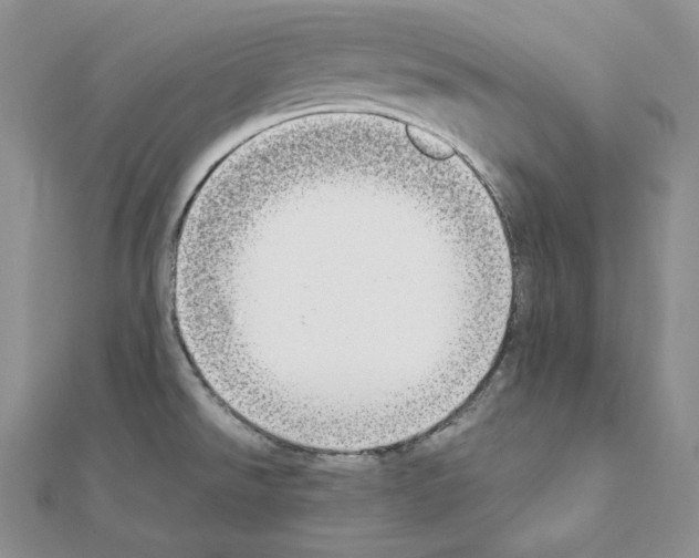 X0000111151526200907281122