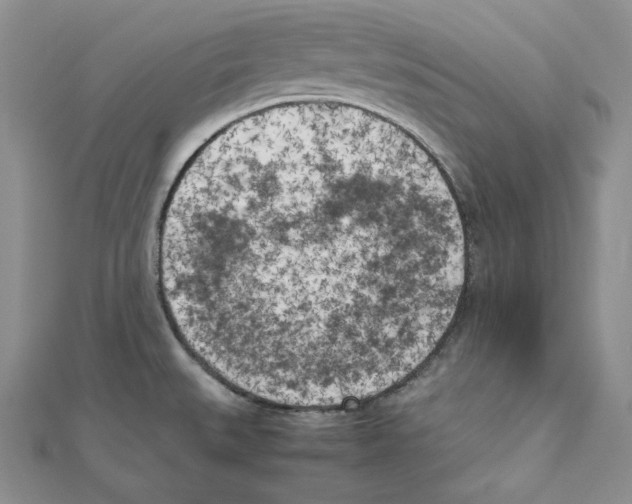 X0000111151527200907281122