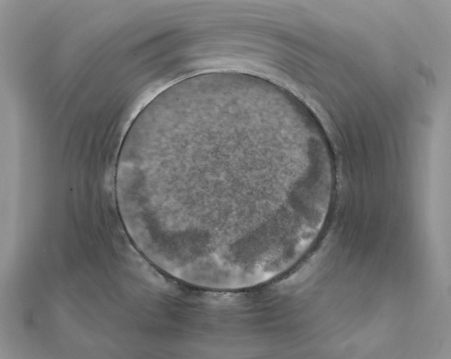 X0000111151529200907281122