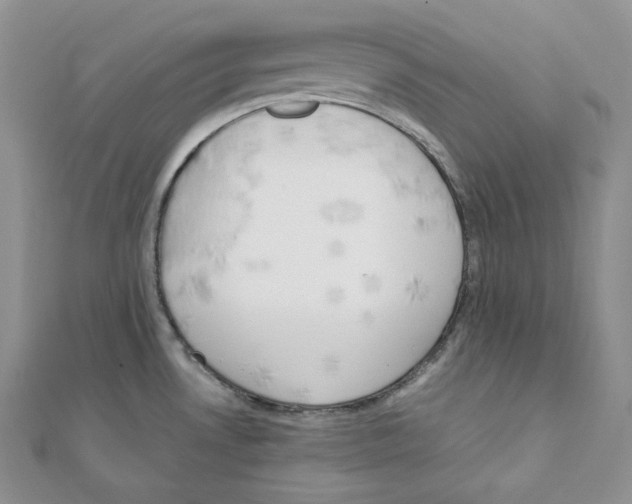 X0000111151530200907281122