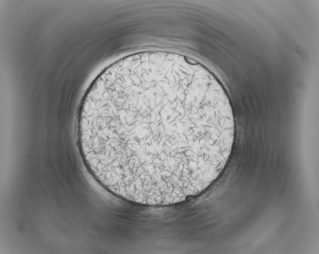 X0000111151531200907281122