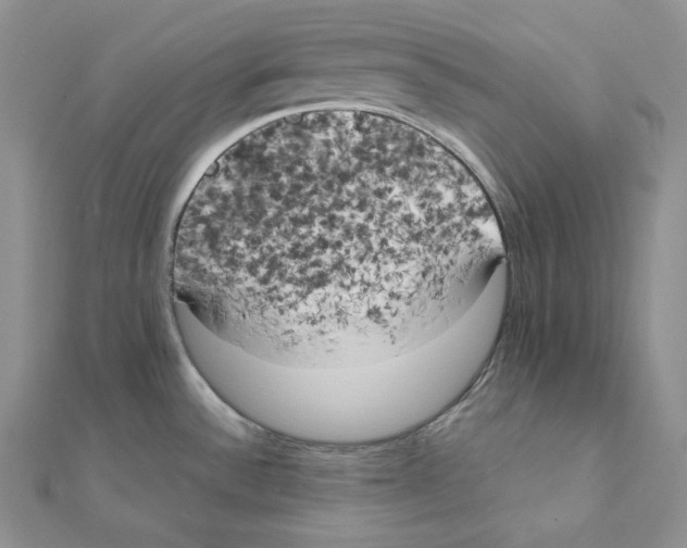 X0000111151532200907281122