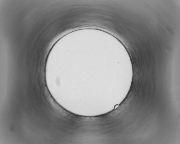 X0000111151534200907281122