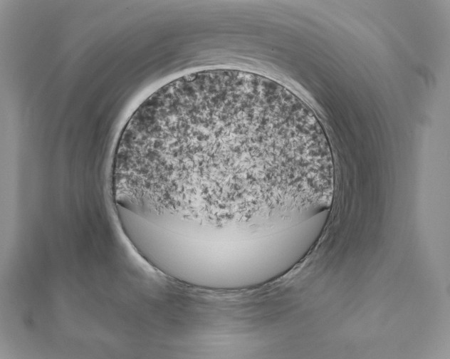 X0000111151536200907281122