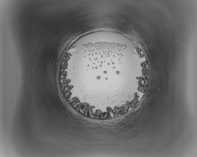 X0000111150001200908111143