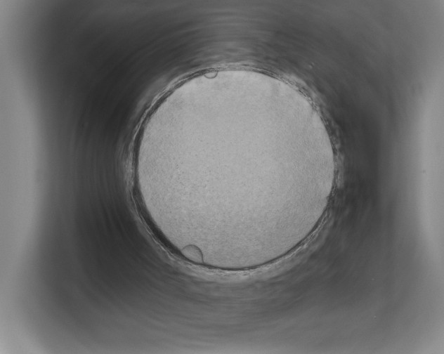 X0000111150002200908111143