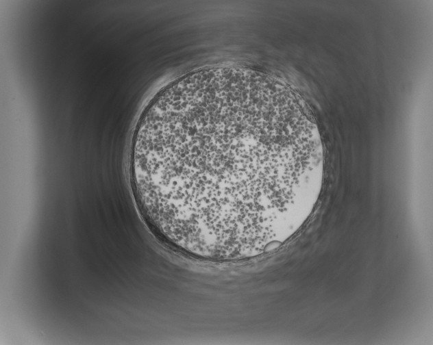 X0000111150003200908111143