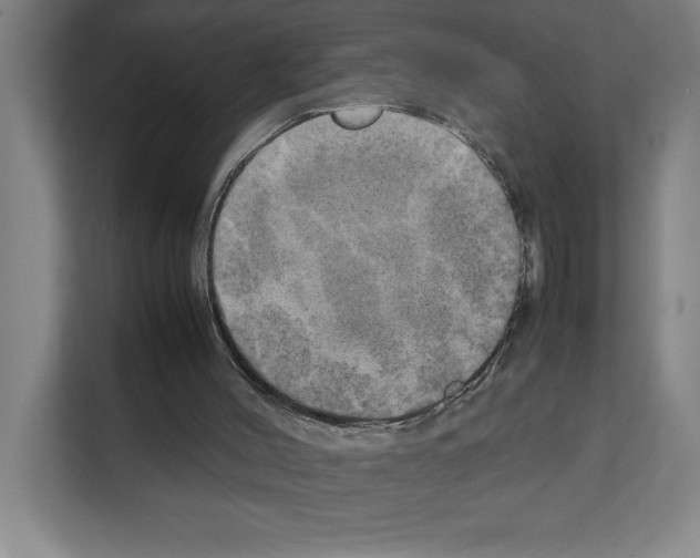 X0000111150004200908111143