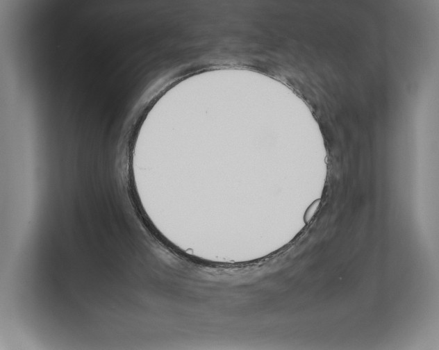 X0000111150005200908111143