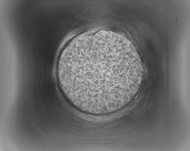 X0000111150006200908111143