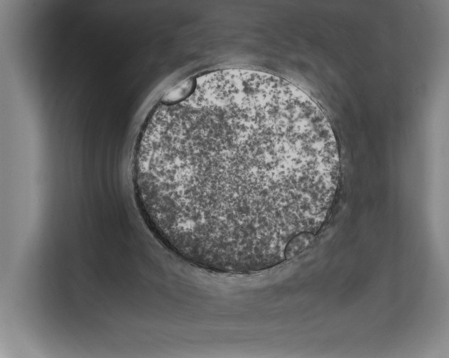 X0000111150007200908111143