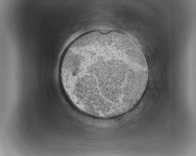 X0000111150008200908111143