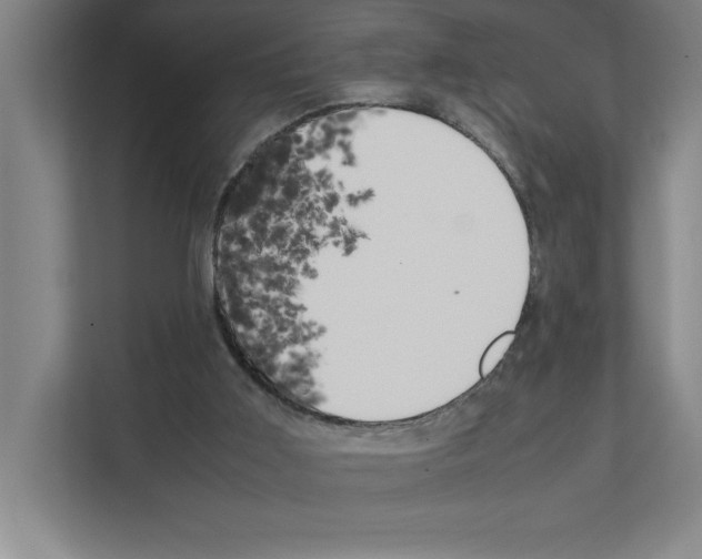 X0000111150011200908111143