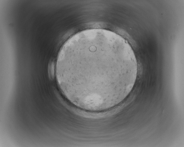 X0000111150014200908111143