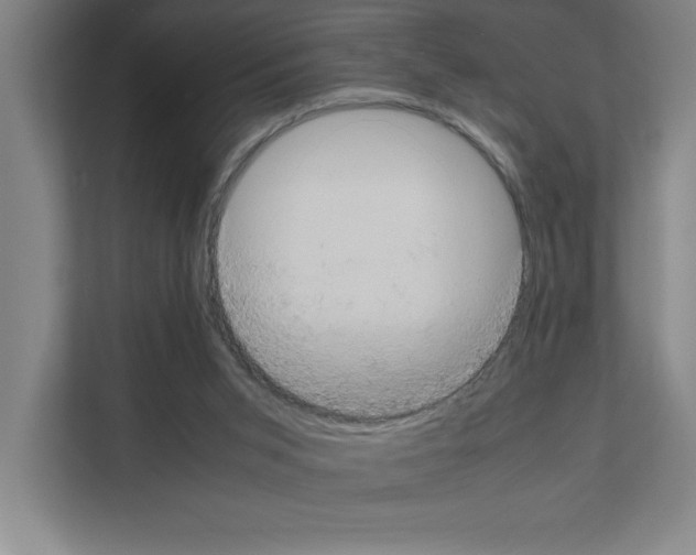 X0000111150015200908111143