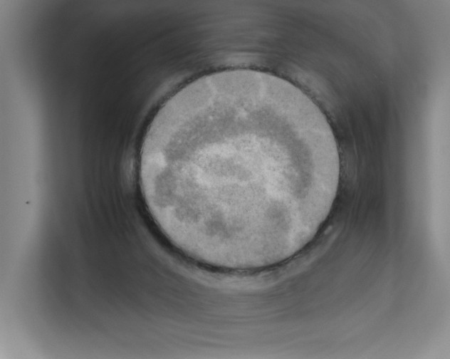 X0000111150016200908111143