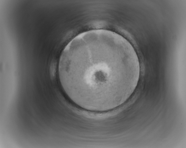 X0000111150018200908111143