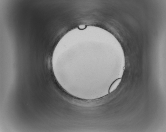 X0000111150019200908111143