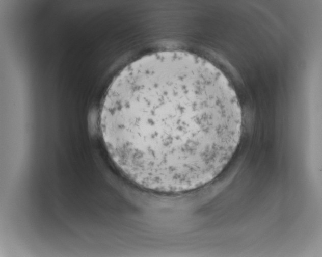 X0000111150024200908111143