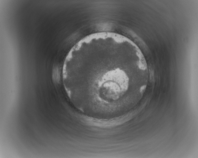 X0000111150026200908111143