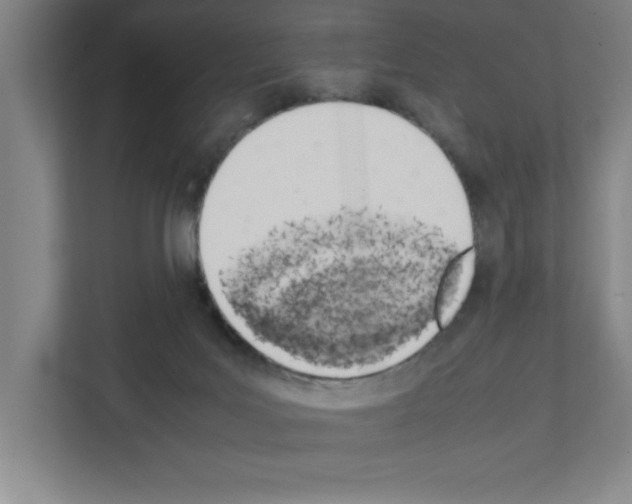 X0000111150027200908111143