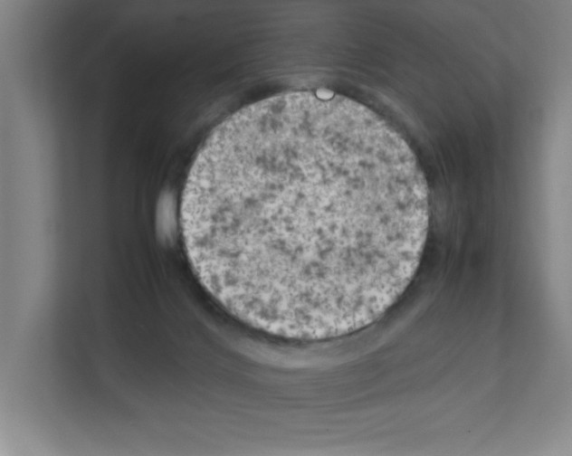 X0000111150028200908111143