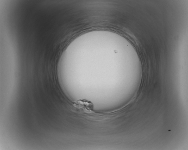 X0000111150029200908111143