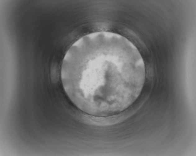 X0000111150030200908111143