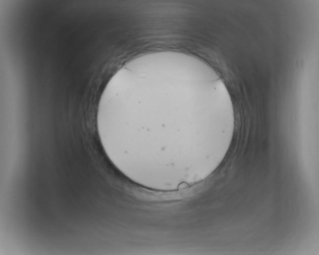 X0000111150031200908111143