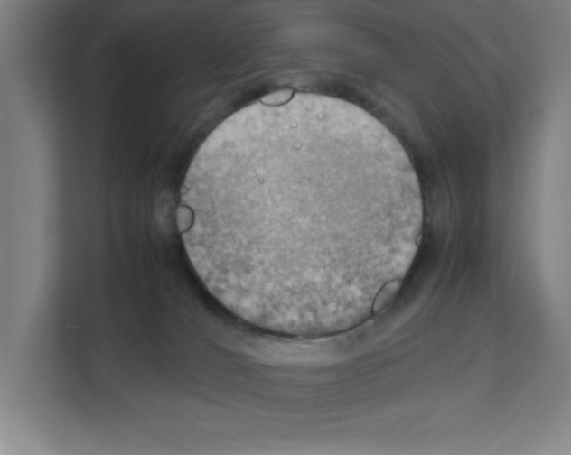 X0000111150036200908111143