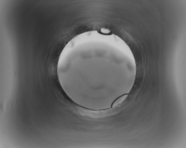 X0000111150039200908111143