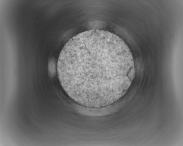 X0000111150042200908111142