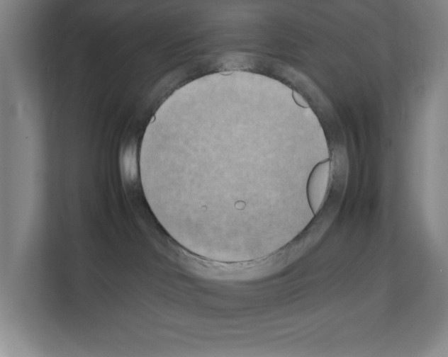 X0000111150046200908111142