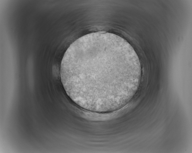 X0000111150048200908111142