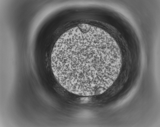 X0000111150050200908111142