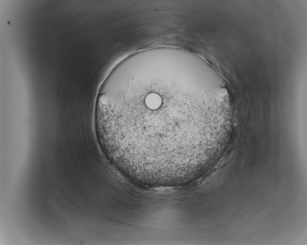 X0000111150052200908111142