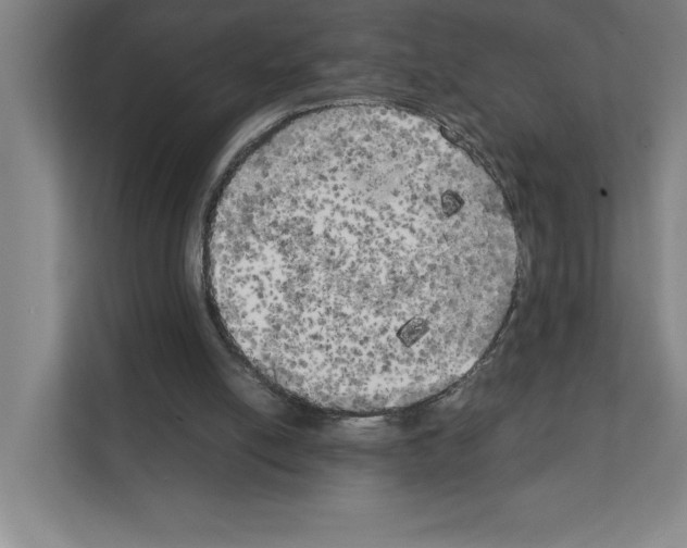 X0000111150054200908111142