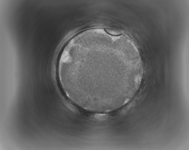 X0000111150055200908111142