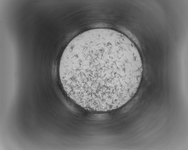 X0000111150057200908111142