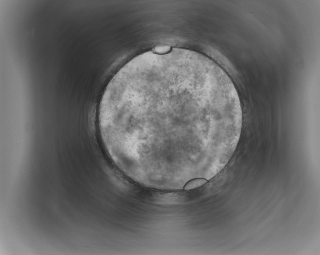 X0000111150058200908111142