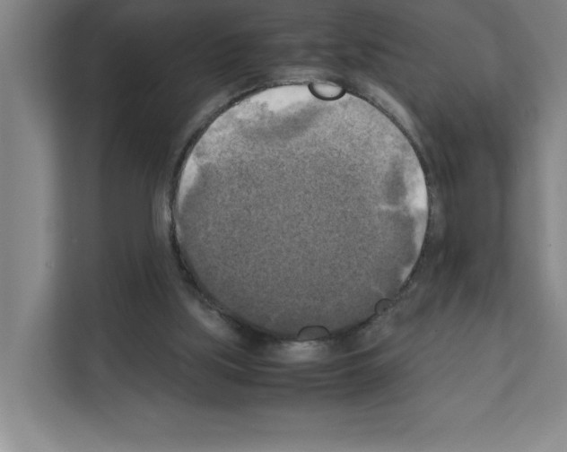 X0000111150059200908111142