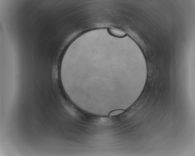 X0000111150060200908111142