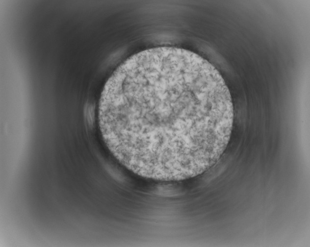 X0000111150070200908111142