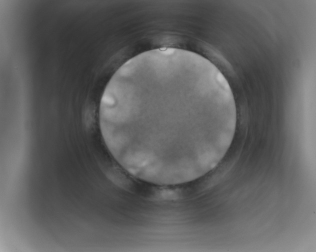 X0000111150073200908111142