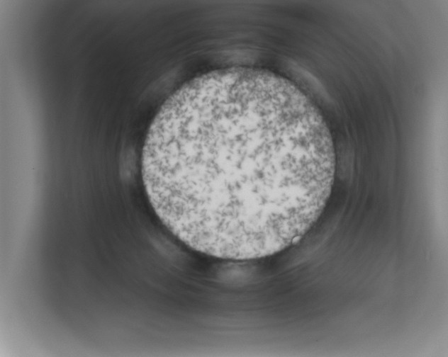 X0000111150077200908111142