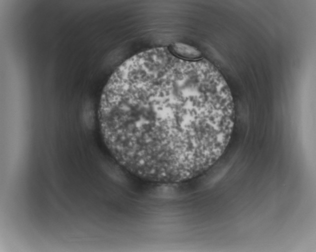 X0000111150080200908111142